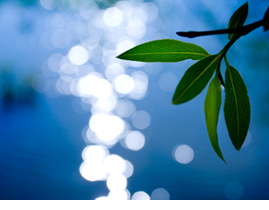 naturopath-santa-fe